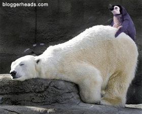 polarbearpenguin.gif