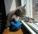 sniperkitty.jpg